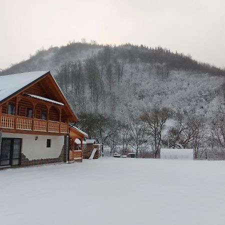 Villa Casa Nova Vişeu de Sus Exterior foto