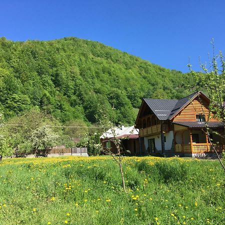 Villa Casa Nova Vişeu de Sus Exterior foto