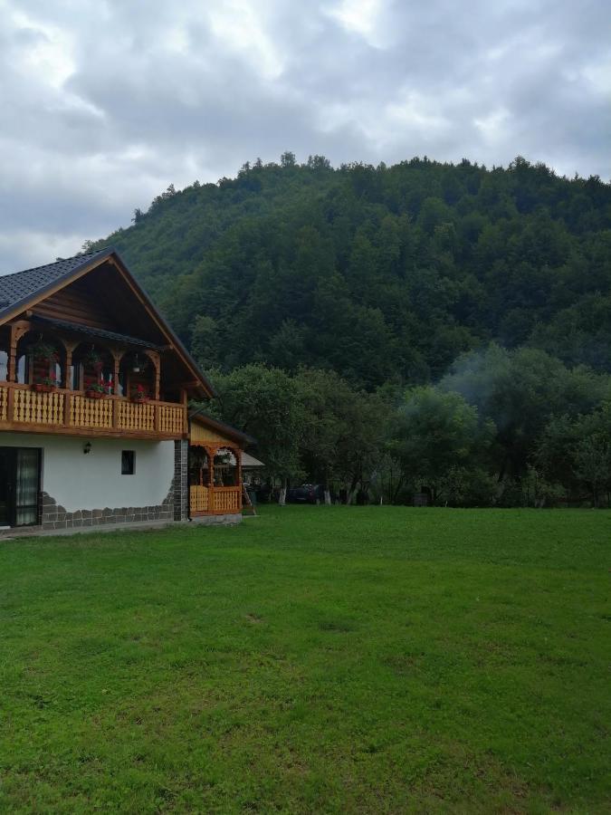 Villa Casa Nova Vişeu de Sus Exterior foto