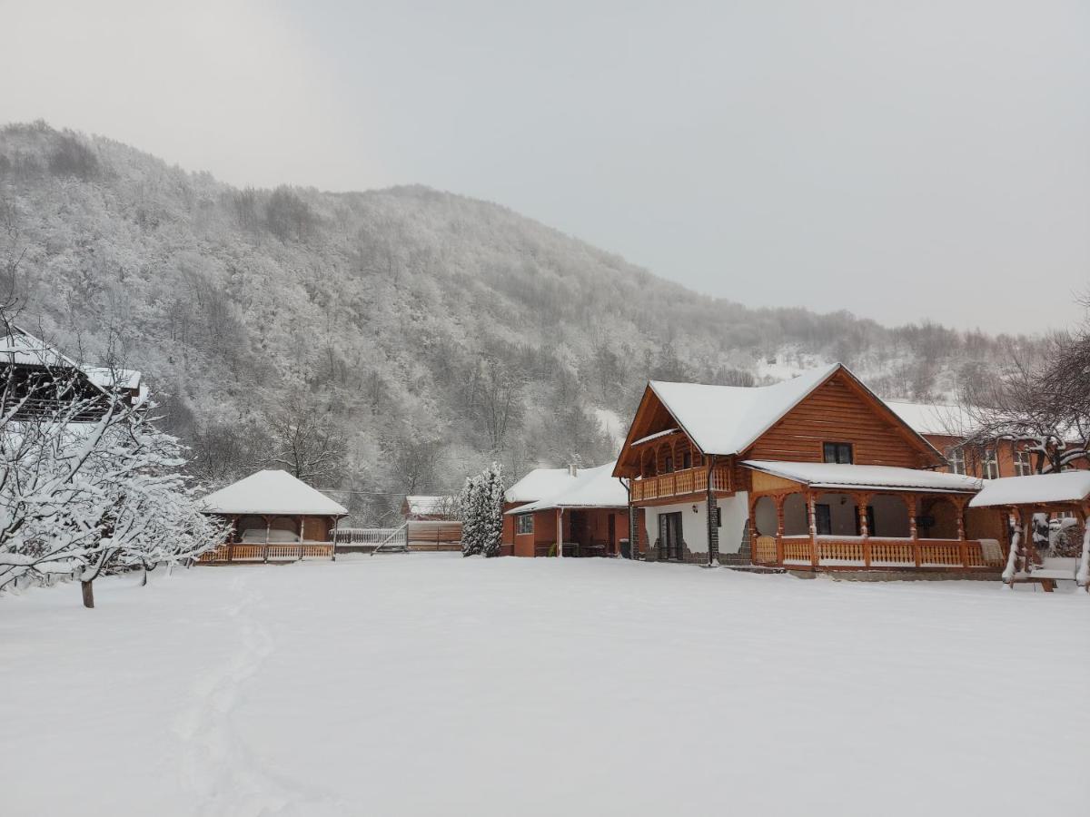 Villa Casa Nova Vişeu de Sus Exterior foto