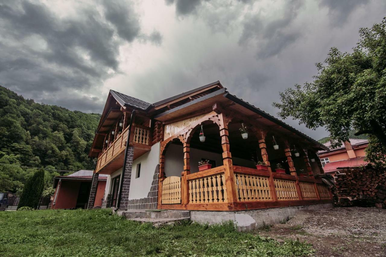 Villa Casa Nova Vişeu de Sus Exterior foto