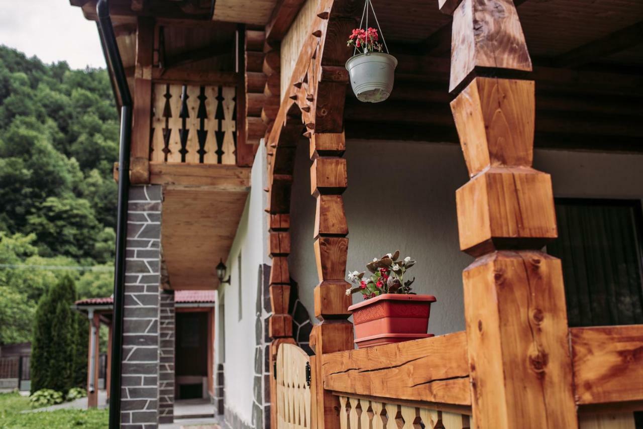 Villa Casa Nova Vişeu de Sus Exterior foto