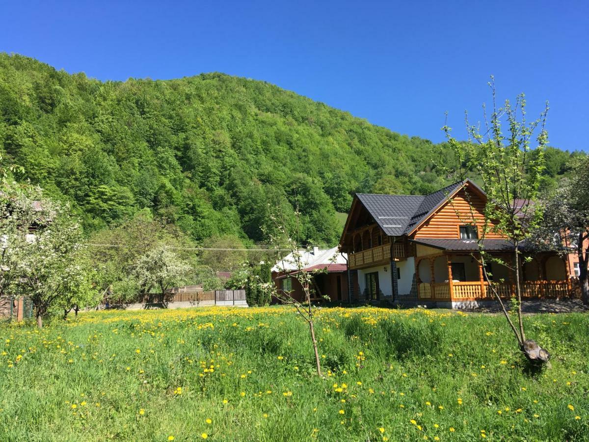 Villa Casa Nova Vişeu de Sus Exterior foto