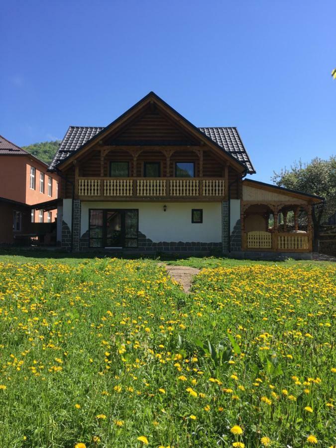Villa Casa Nova Vişeu de Sus Exterior foto