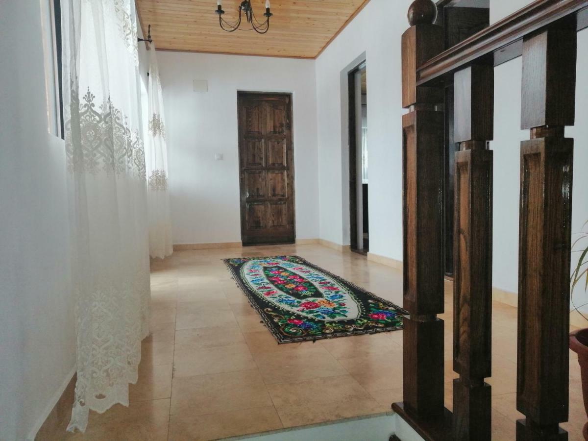 Villa Casa Nova Vişeu de Sus Exterior foto