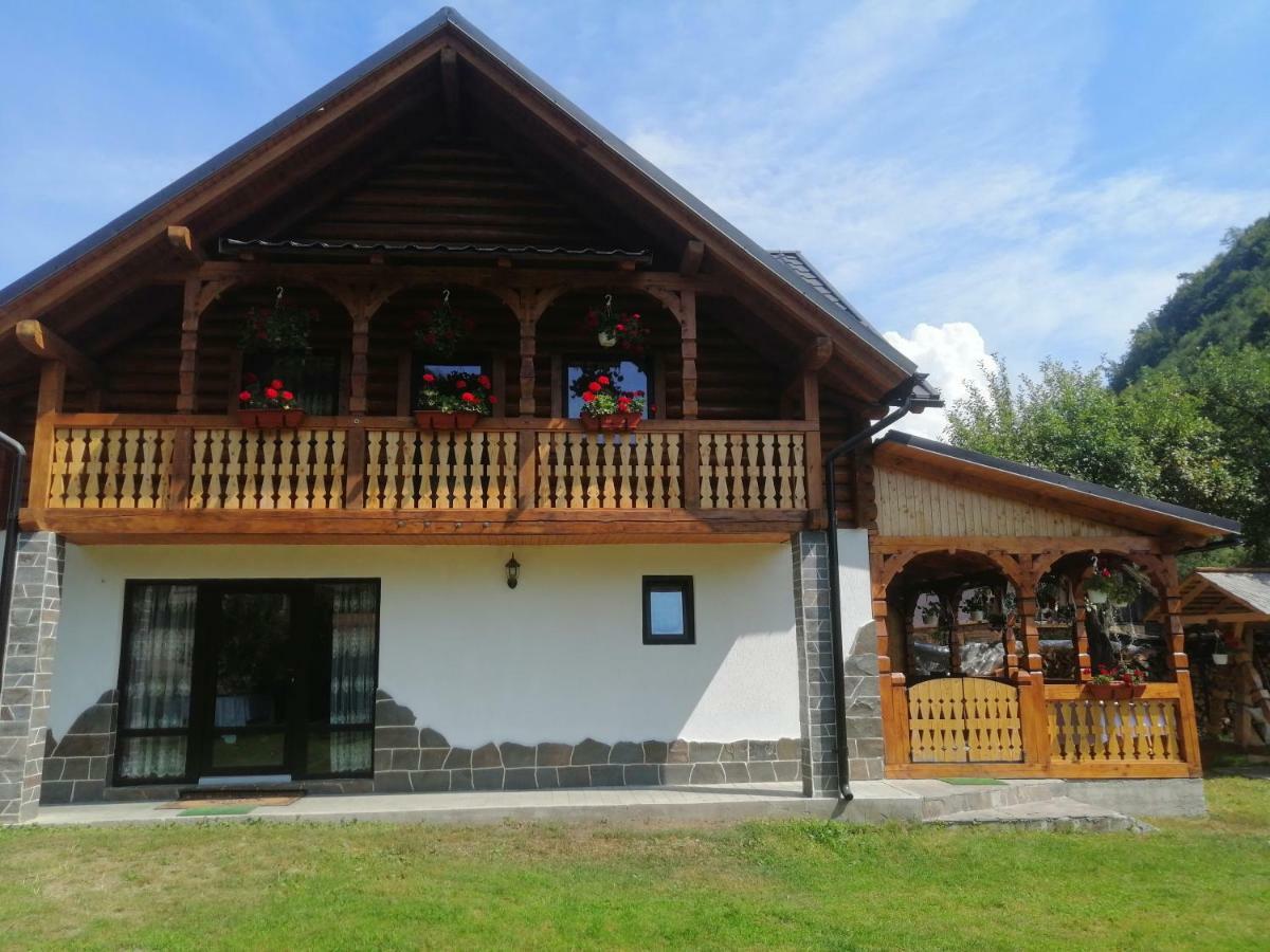 Villa Casa Nova Vişeu de Sus Exterior foto